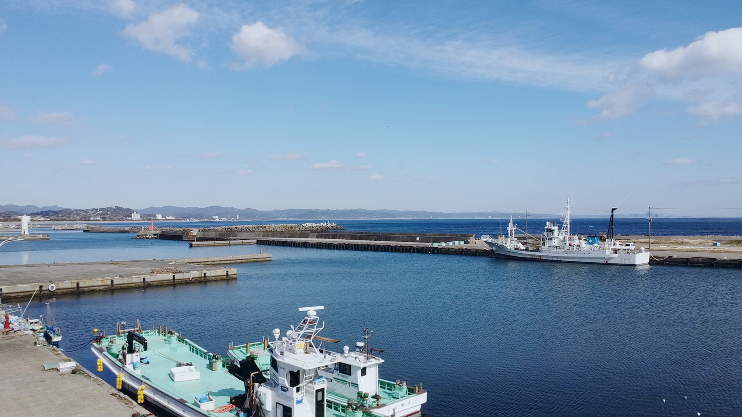 魚、場所の写真